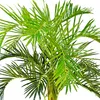 Umelá palma veľká umelá palma umelá rastlina palma umelá Náhľad obrázku produktu 5