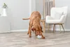 TRIXIE Snackball - grau - ø 9 cm Produktbild-Vorschau 3