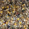Vogelfutter Wildvogelfutter 25kg Ganzjahresfutter für Vögel Produktbild-Vorschau 2