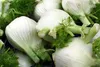 SAFLAX - BIO - Cibulka fenyklu - Foeniculum vulgare var. Náhled obrázku produktu 4