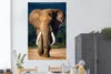 MuchoWow® Poster Elefant - Zähne - Natur 120x180 cm - Produktbild-Vorschau 2
