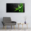 Acrylglasbilder 120x60 Wandbild Druck Bambus Blätter Produktbild-Vorschau 3