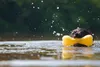 Bone Chew Mit Quietschwürfel Hundspielzeug Produktbild-Vorschau 11