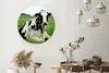 MuchoWow® Aluminium Wandkreis Kuh - Gras - Tiere - Berg Ø Produktbild-Vorschau 2