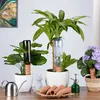 Zavlažovanie hlinenými kužeľmi Relaxdays, sada 8 kužeľov na Náhľad obrázku produktu 5
