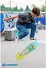 SCHILDKRÖT® 510604 SCHILDKRÖT® Kicker 31 Green Dog Podgląd zdjęcia produktu 3