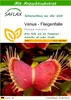 SAFLAX - Venus - Fliegenfalle - Dionaea muscipula - 10 Produktbild-Vorschau 1
