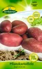 Artikelbild 1 von 'Pflanzkartoffel Birgit (10 Stück) (frühgelb, vorwiegend festkochend, früh)' Produktbild-Vorschau