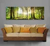 5730 Wald im Gegenlicht Leinwandbild 120x40 cm Produktbild-Vorschau 2