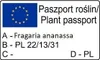 Truskawka pnąca wisząca  1L Podgląd zdjęcia produktu 13