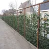A fence covered in ivy plants next to a concrete path, with houses in the background. Podgląd zdjęcia produktu