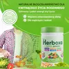 Herboxa SUPER GREENS – Zielone proszki wspomagające Podgląd zdjęcia produktu 4