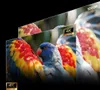 Hisense C3 | Slimme mini-projector, 4K Productafbeelding-voorbeeld 12