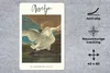 MuchoWow® Mauspad Mousepad Der bedrohte Schwan - Jan Produktbild-Vorschau 2
