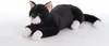 Aktivkatze® Demenzhilfe schwarz (Blacky) Produktbild-Vorschau 1