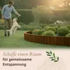 Floranica Beetumrandung Beeteinfassung 20 x 200 cm Braun Produktbild-Vorschau 6