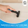 Brosse pour tapis Glissimo pour redonner du volume aux Voir les images du produit 7