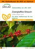 SAFLAX - Garden in the Bag - Zwergkaffee-Strauch - 8 Samen Produktbild-Vorschau 1