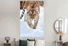 MuchoWow® Poster Tiger - Schnee - Tiere 120x180 cm - Produktbild-Vorschau 4