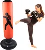 PVC 160 cm Fitness Hit Punching Bag Dospělí Děti nafukovací Náhled obrázku produktu 3