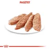 Royal Canin CCN Digestive Care 12x85g Nassfutter Pastete Produktbild-Vorschau 4