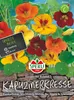Kapuzinerkresse  ''Rankender Roland'' leuchtende Blüten für Produktbild-Vorschau 3