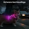 LED Hundegeschirr aufladbar reflektierend, verstellbar mit Produktbild-Vorschau 7