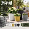 Prosperplast Pflanzentopf - perlweis - Kunststoff - D22 x Produktbild-Vorschau 4