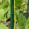 KADAX Pflanzendraht 100m (2x 50m), Gartendraht mit Produktbild-Vorschau 5