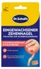 Dr. Scholl’s Pflaster für eingewachsene Zehennägel, Produktbild-Vorschau 1