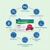 Magnesium-Diasporal Pro Svaly a nervy přímé tyčinky s Náhled obrázku produktu 6