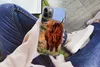 MuchoWow® Handyhülle Schutzhülle Hülle für iPhone 13 Pro Produktbild-Vorschau 3