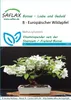 SAFLAX - Bonsai - Europejskie Jabłko - 30 Nasiona - Malus Podgląd zdjęcia produktu 6