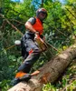 KOX Schnittschutzhose Duro 3.0 Anthrazit/Orange Größe 52 | Produktbild-Vorschau 2