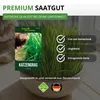 Katzengras  Samen - Avena sativa und Lolium perenne - Produktbild-Vorschau 8