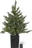 Star Trading Abete LED Greyland 80 LED bianco caldo da Anteprima dell’immagine prodotto 2