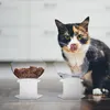 Relaxdays - Lot de 2 gamelles surélevées pour chat, 500 ml, Voir les images du produit 2