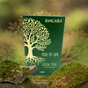 Bastoncini d'incenso botanici Banjara - Albero della Bodhi Anteprima dell’immagine prodotto 5