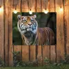 Gartenposter - 120x80 cm - Sumatra-Tiger-Porträt  - Produktbild-Vorschau 3
