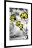 MuchoWow® MuchoWow® Gerahmtes Poster Blumen - Schwarz - Produktbild-Vorschau 7