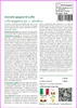 SAFLAX  - Cetriolo spugna di Luffa - 10 semi - Con Anteprima dell’immagine prodotto 3