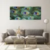 Bilder auf glas - Einteilig - Pfauen Feder Makro - 120x50cm Produktbild-Vorschau 7