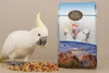 Deli Nature 21 - Down Under Mélange Pour Cacatoès & Voir les images du produit 2