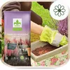 Rhododendronerde 20 l - Hochwertig - Nährstoffreich - Für Produktbild-Vorschau 4