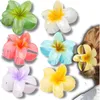 J&W Olisa set di fermagli per capelli di diversi colori Anteprima dell’immagine prodotto 1