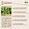 Samenliebe  Spinat Samen | Winterriesen Verdil - winterhart Produktbild-Vorschau 3
