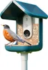 Bird Buddy Smart - Bird Feeder Pro - Vogelhaus - Blau mit Produktbild-Vorschau 13
