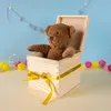 Creative Deco Drewniane Pudełko Kwadratowe z Pokrywą | 16 x Podgląd zdjęcia produktu 2