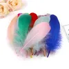 Plumas de ganso, aproximadamente 7-12 cm, 5 gramos, Vista previa de la imagen del producto 3