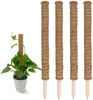 Supporto per arrampicata in cocco - 4 pezzi / 60 cm - Anteprima dell’immagine prodotto 1